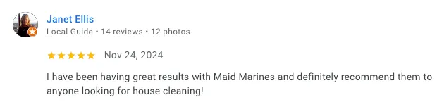 Google review from Janet Ellis, Local Guide — 5 stars, November 24 2024. I have been having great results with VivaClean and definitely recommend them to anyone looking for house cleaning!